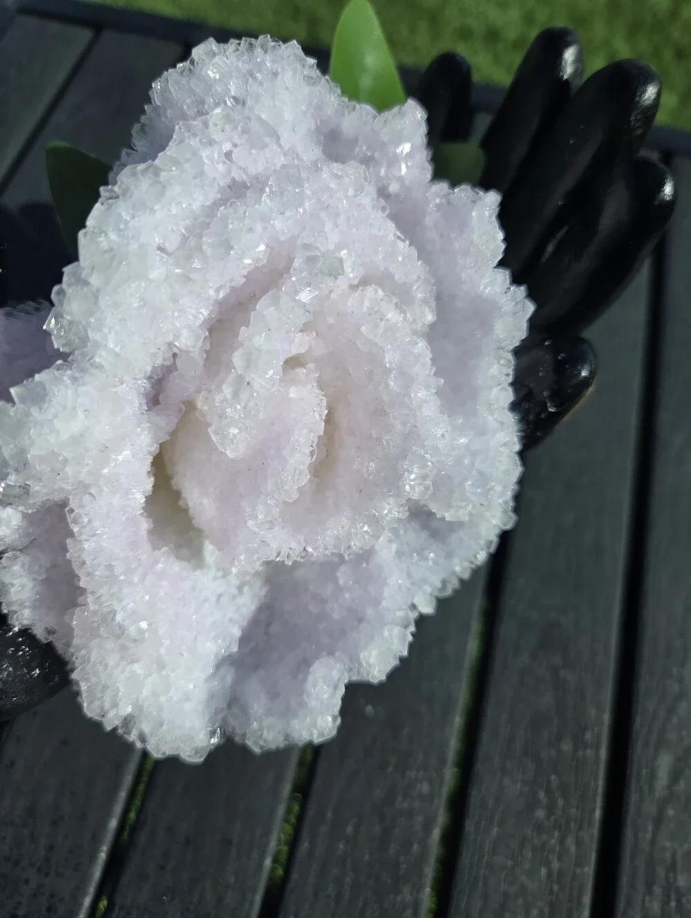 Buy Now Hand Made Decorative Pink Crystalized Rose in Black Hand Display -